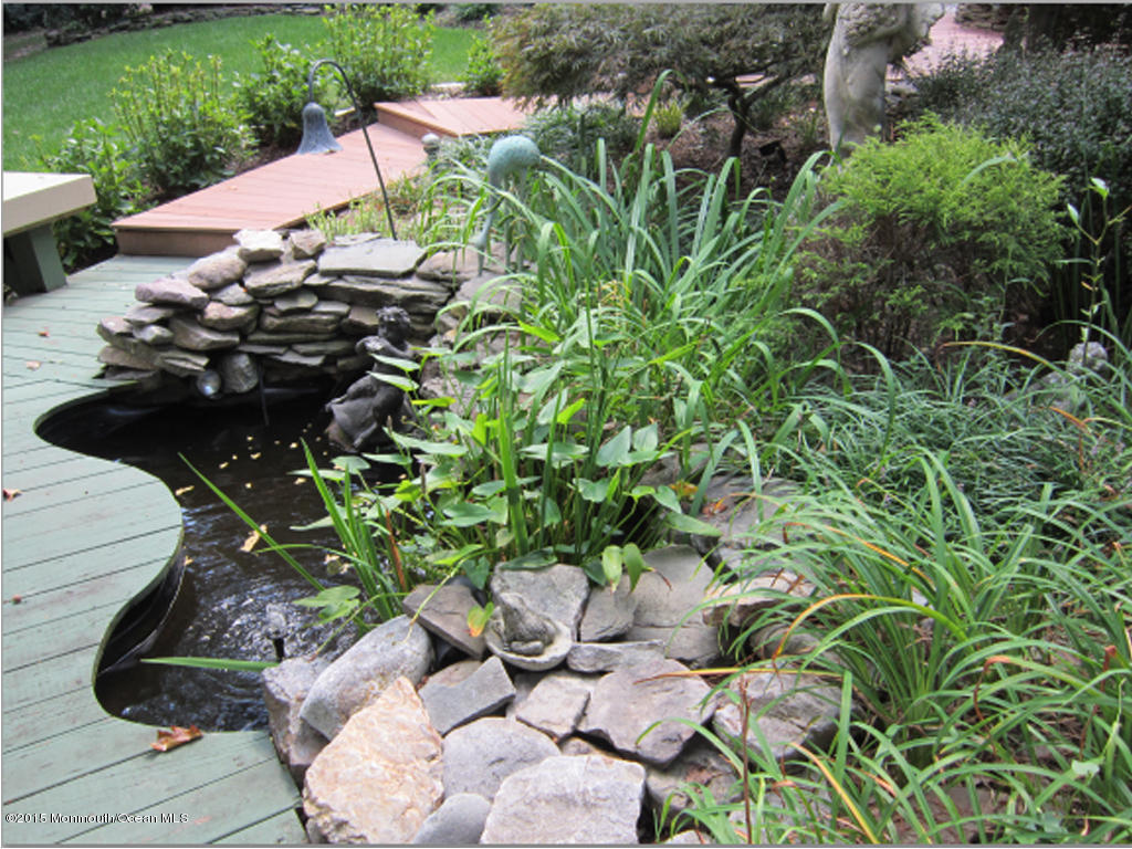 117 South Cooks Bridge Road Jackson, NJ 08527 - Photo 44 of 56 fountain-view