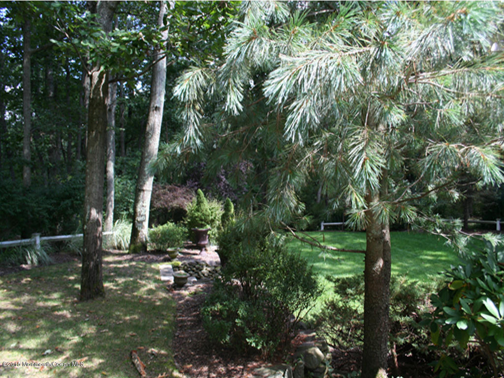 117 South Cooks Bridge Road Jackson, NJ 08527 - Photo 50 of 56 park like grounds and gardens