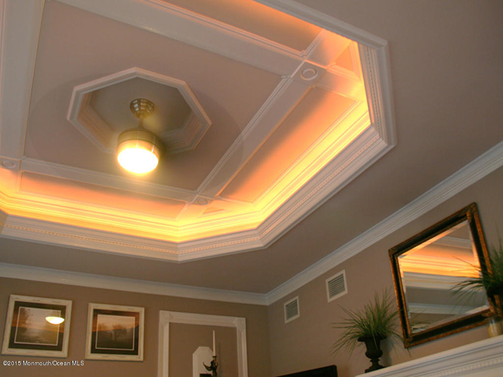 117 South Cooks Bridge Road Jackson, NJ 08527 - Photo 8 of 56 Ceiling-detail living room