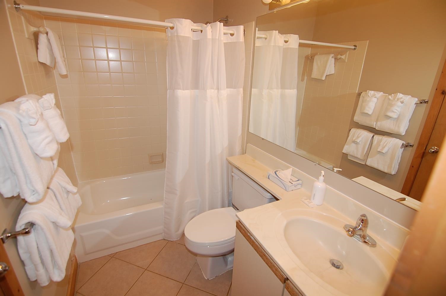 18 Ober Tal Drive, Unit F32 Stratton, VT 05155 - Photo 5 of 11