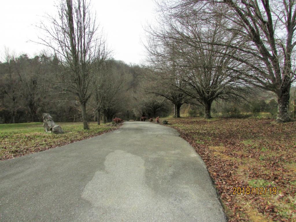 1929 Holly Creek Road Greeneville, TN 37745 - Photo 36 of 36 Photo 36