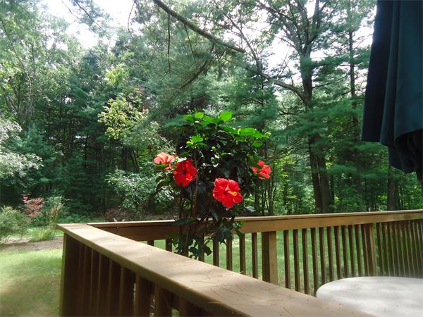 60 Crocker Pond Road Wrentham, MA 02093 - Photo 14 of 15 Gallery Image 14