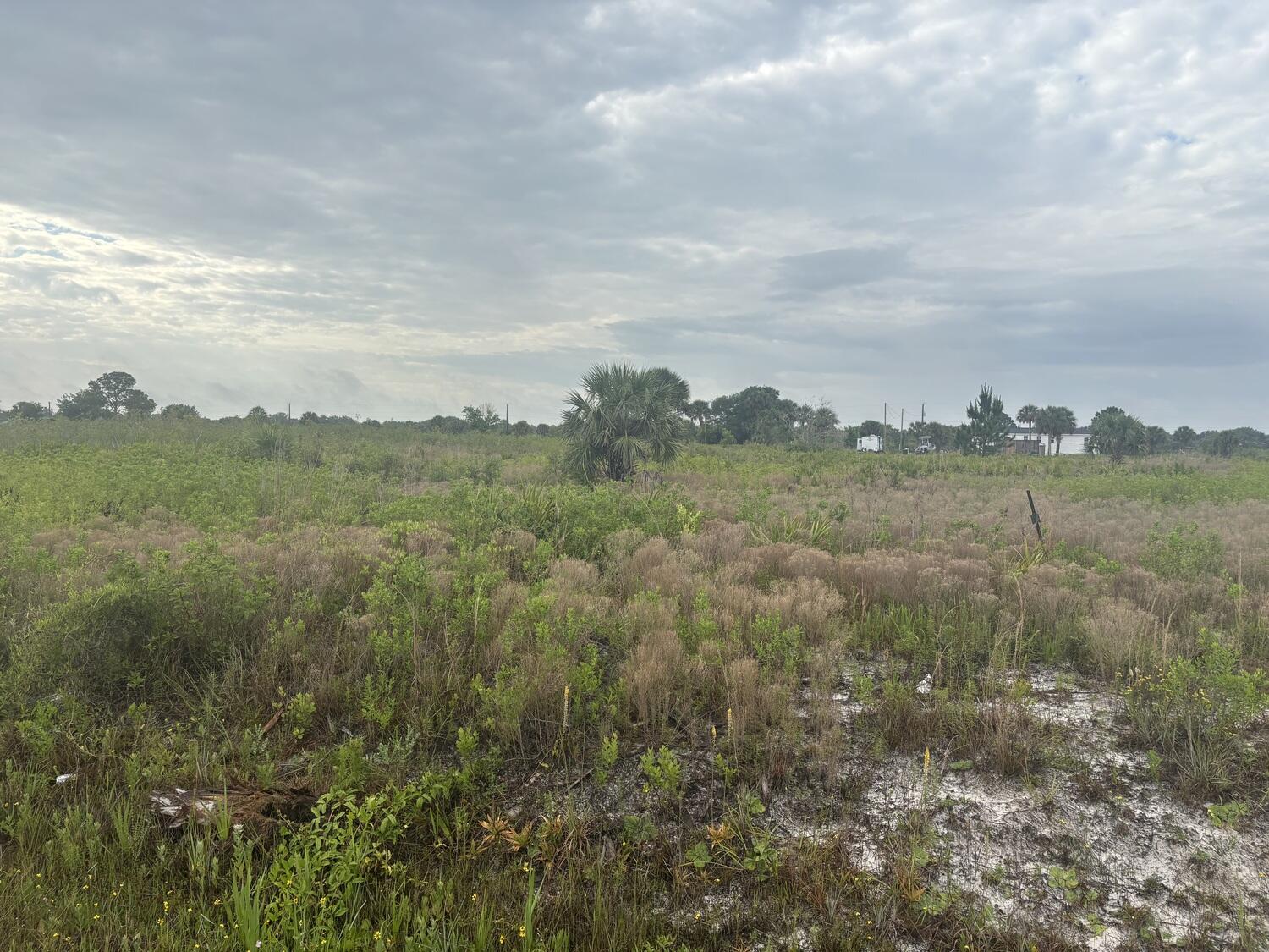 21072 Northwest 280th Street Okeechobee, FL 34972 - Photo 2 of 6 img_7736