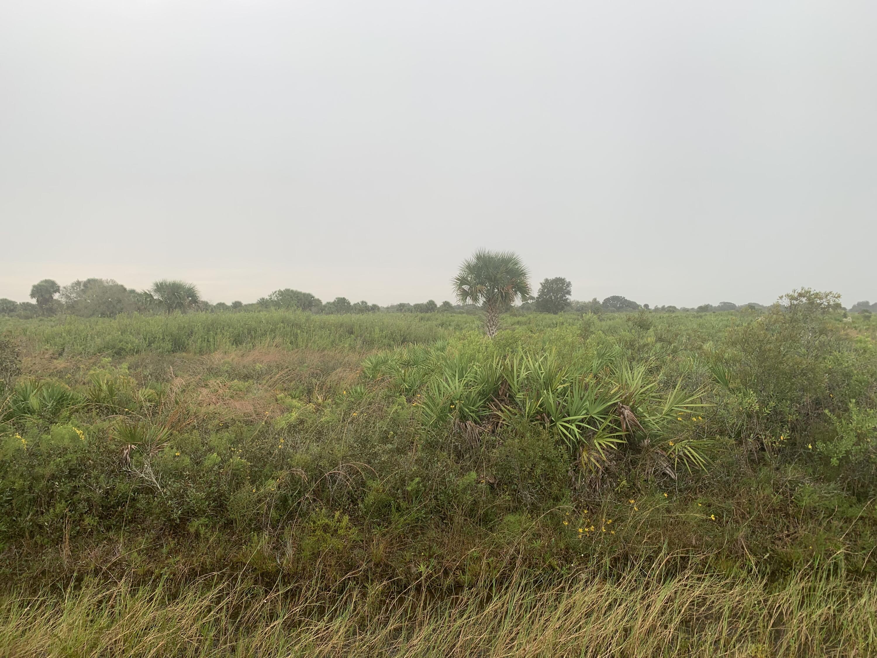21072 Northwest 280th Street Okeechobee, FL 34972 - Photo 3 of 6 8688026cf219452ba44fff10d6d1f7e7