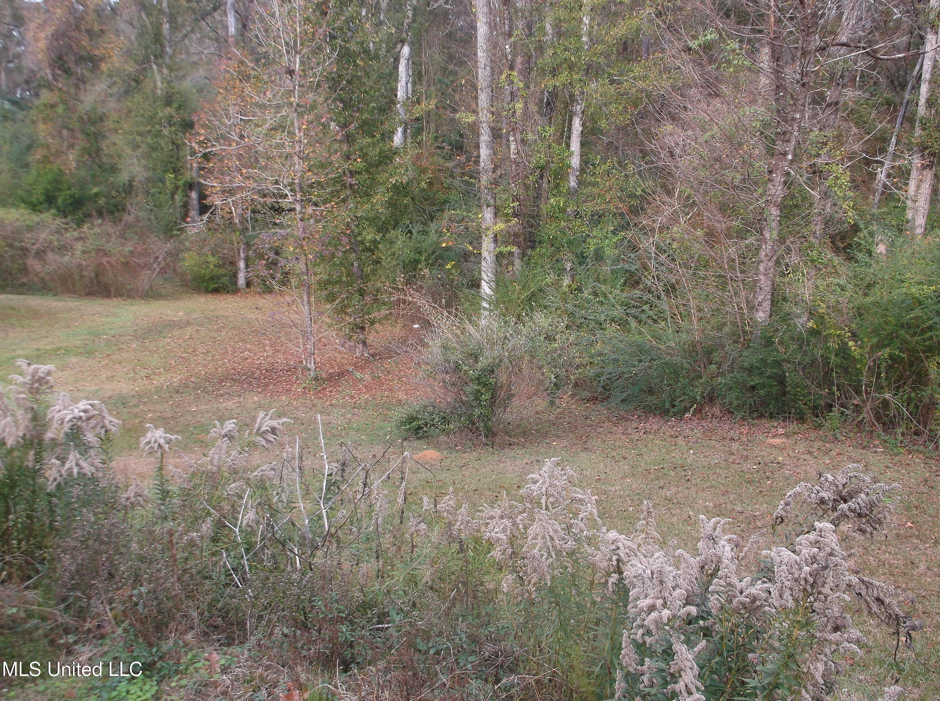 2113 Summit Holmesville Road McComb, MS 39648 - Photo 22 of 24 DSCF4656