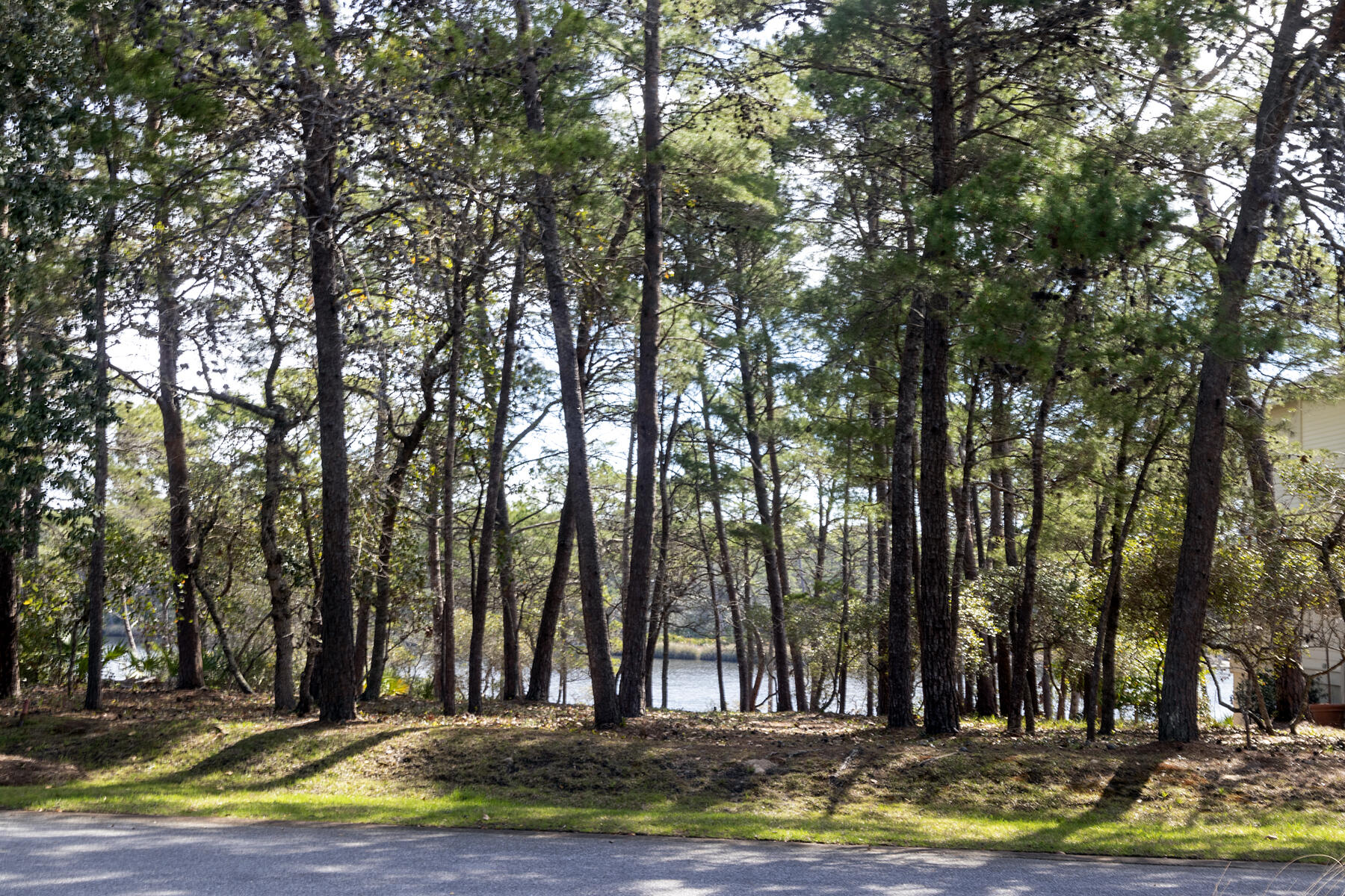 Tbd Tbd Chance St Inlet Beach Inlet Beach, FL 32461 - Photo 6 of 13 Cam creek homesite - street side view