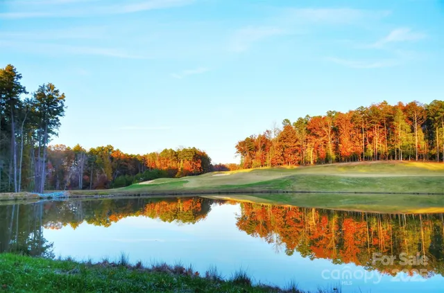 a view of a golf ground with large trees