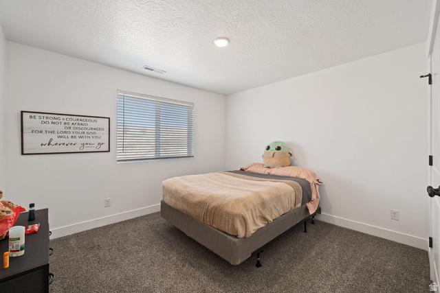 683 West Powderwood Lane Mapleton, UT 84664 - Photo 15 of 28