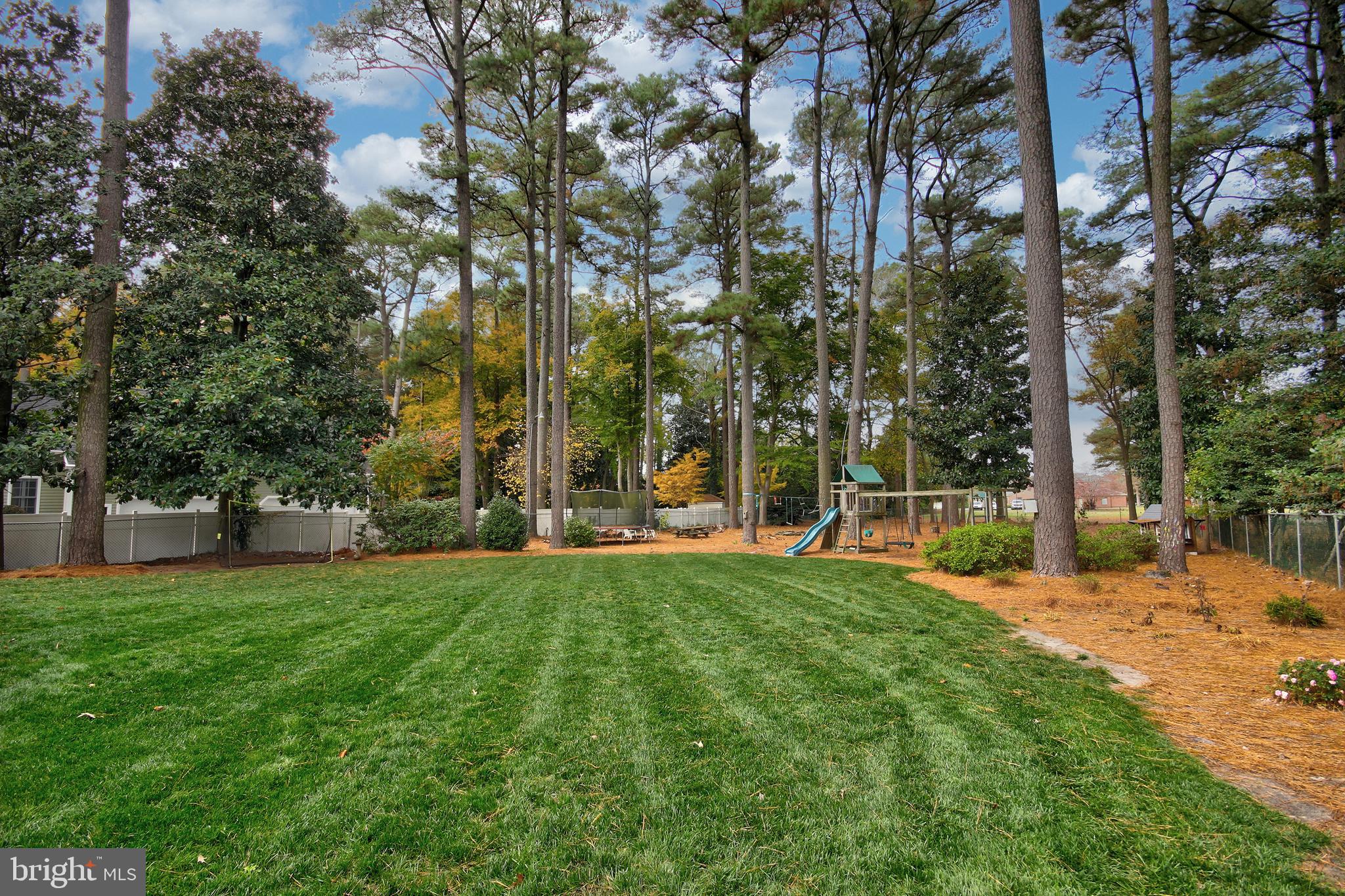 615 Douglas Road Salisbury, MD 21801 - Photo 28 of 29 Back yard