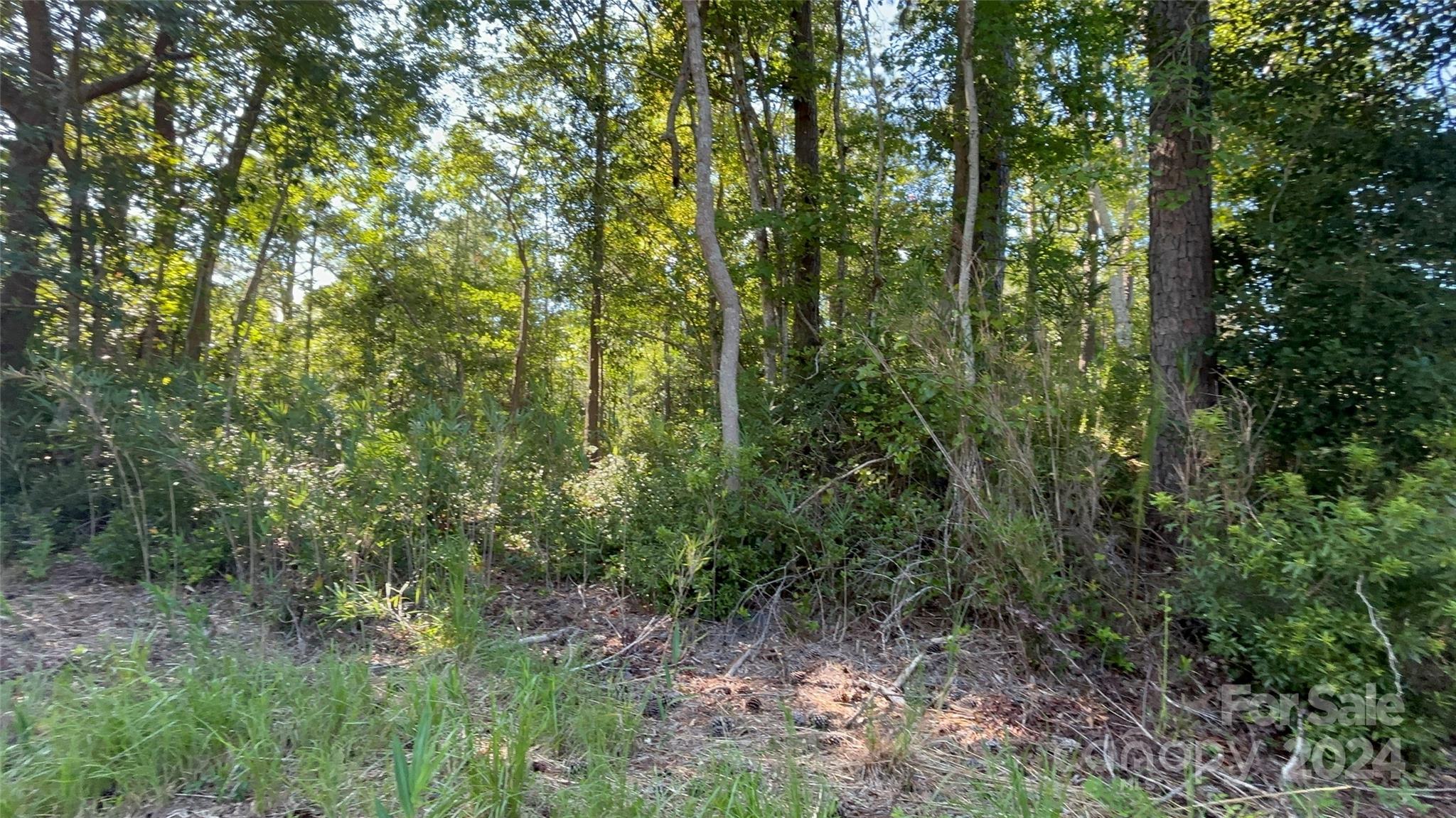 Tbd Manhollow Church Road Hampstead, NC 28443 - Photo 1 of 1 Gallery Image 1