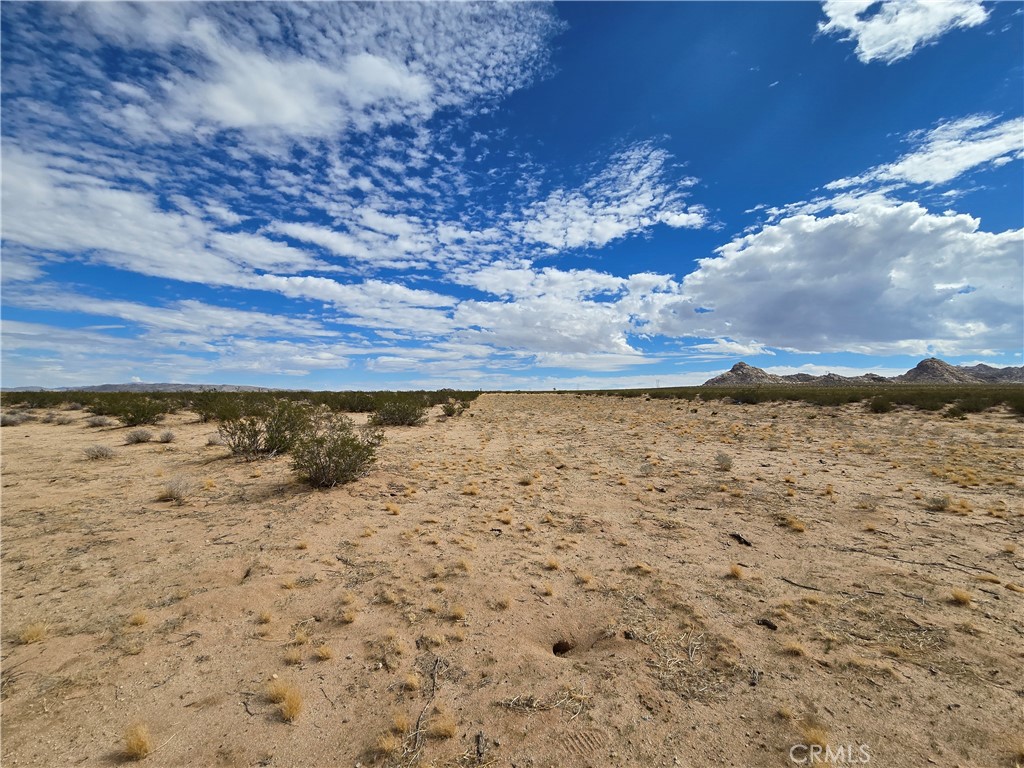 0 Granite Road Lucerne Valley, CA 92356 - Photo 14 of 16 a view of a dry yard with wooden fence