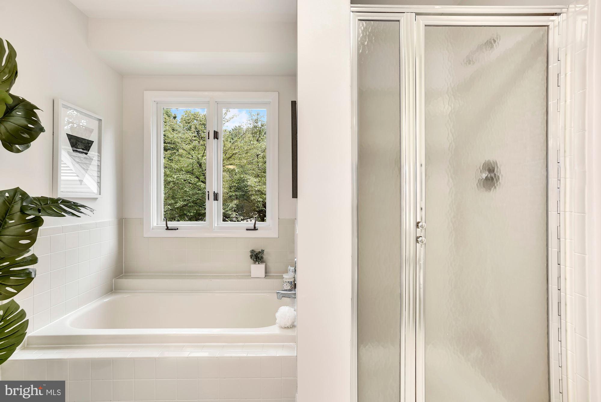 1573 Brass Lantern Way Reston, VA 20194 - Photo 28 of 46 Primary Bathroom