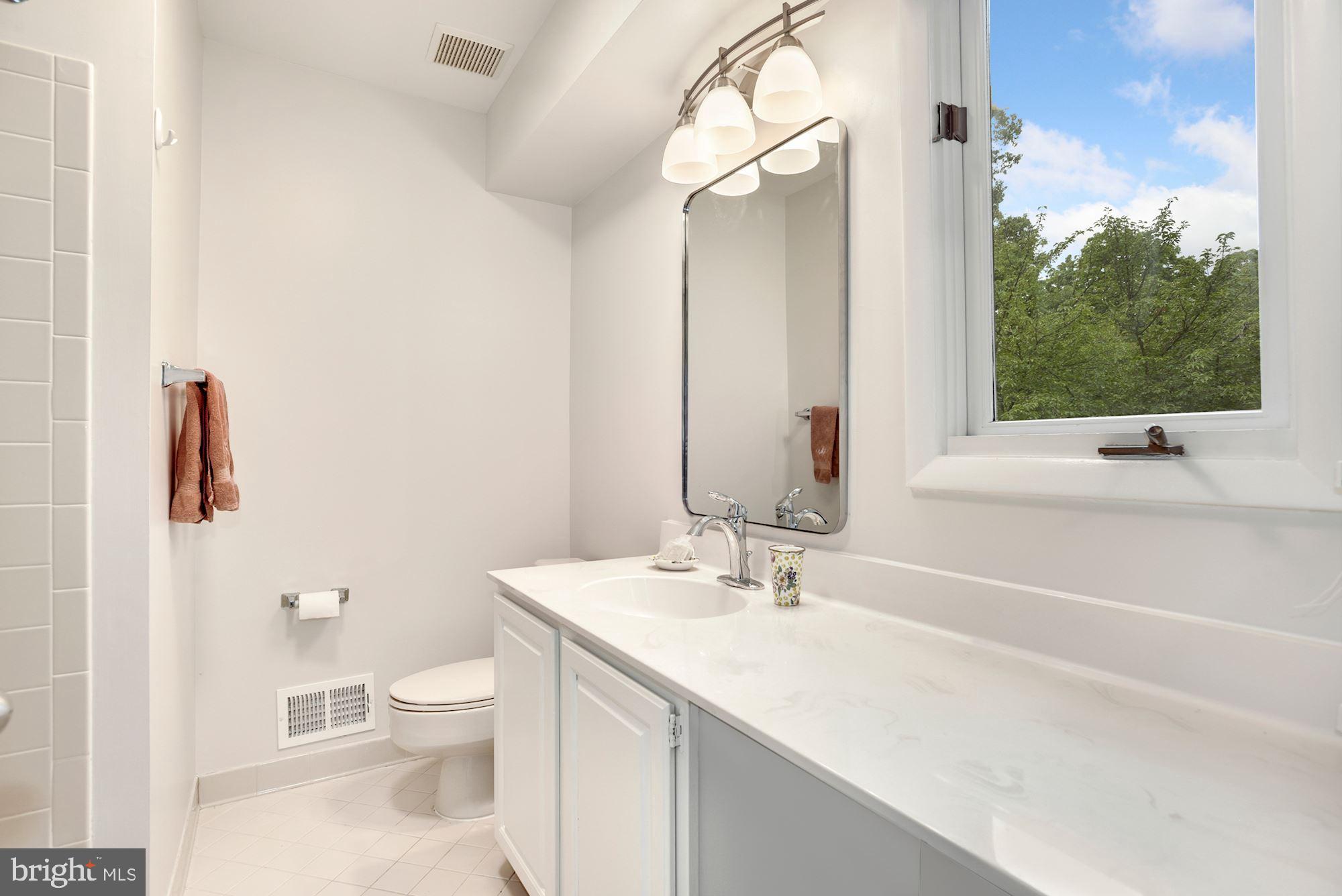 1573 Brass Lantern Way Reston, VA 20194 - Photo 32 of 46 Full Bathroom