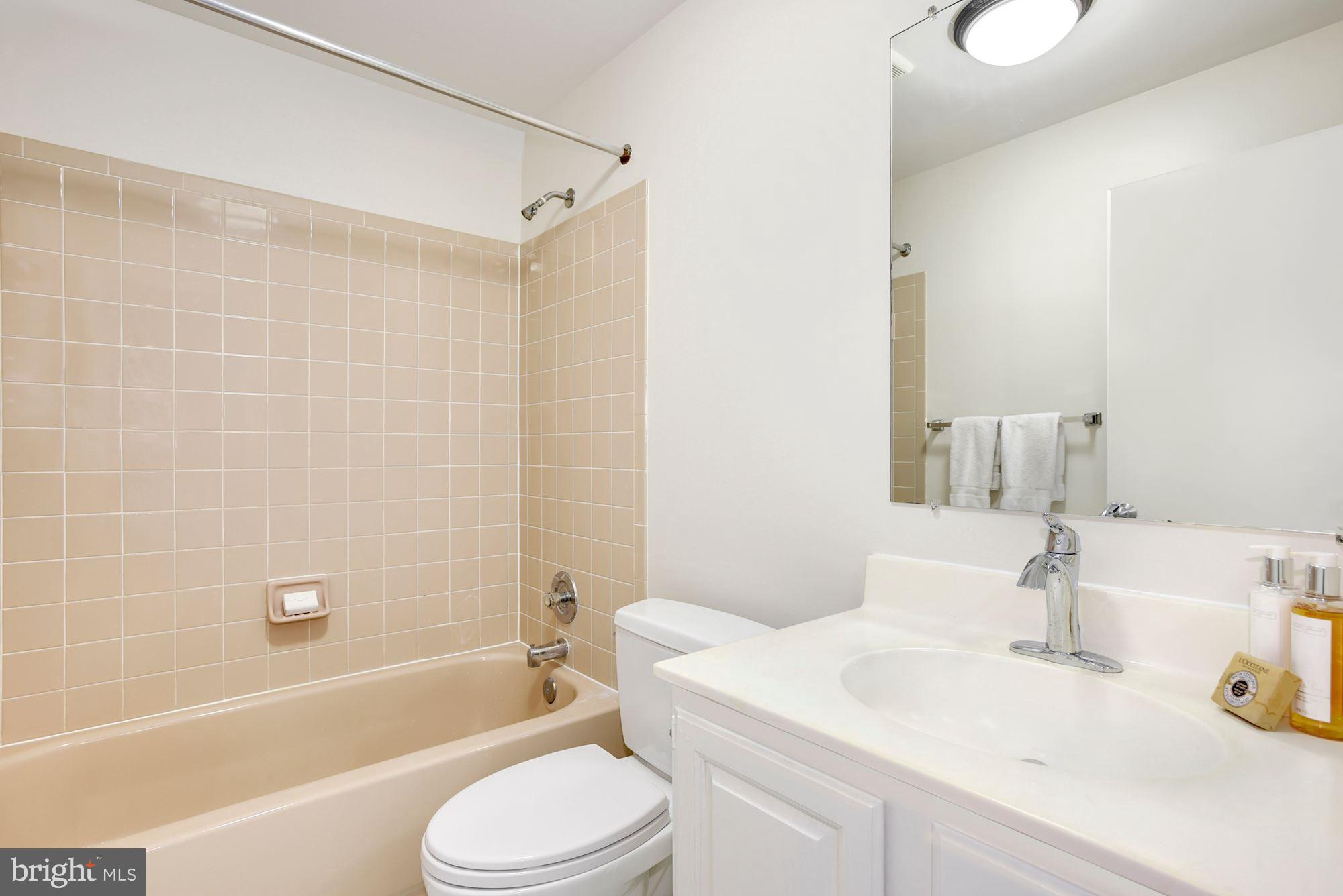 1573 Brass Lantern Way Reston, VA 20194 - Photo 40 of 46 Full Bathroom