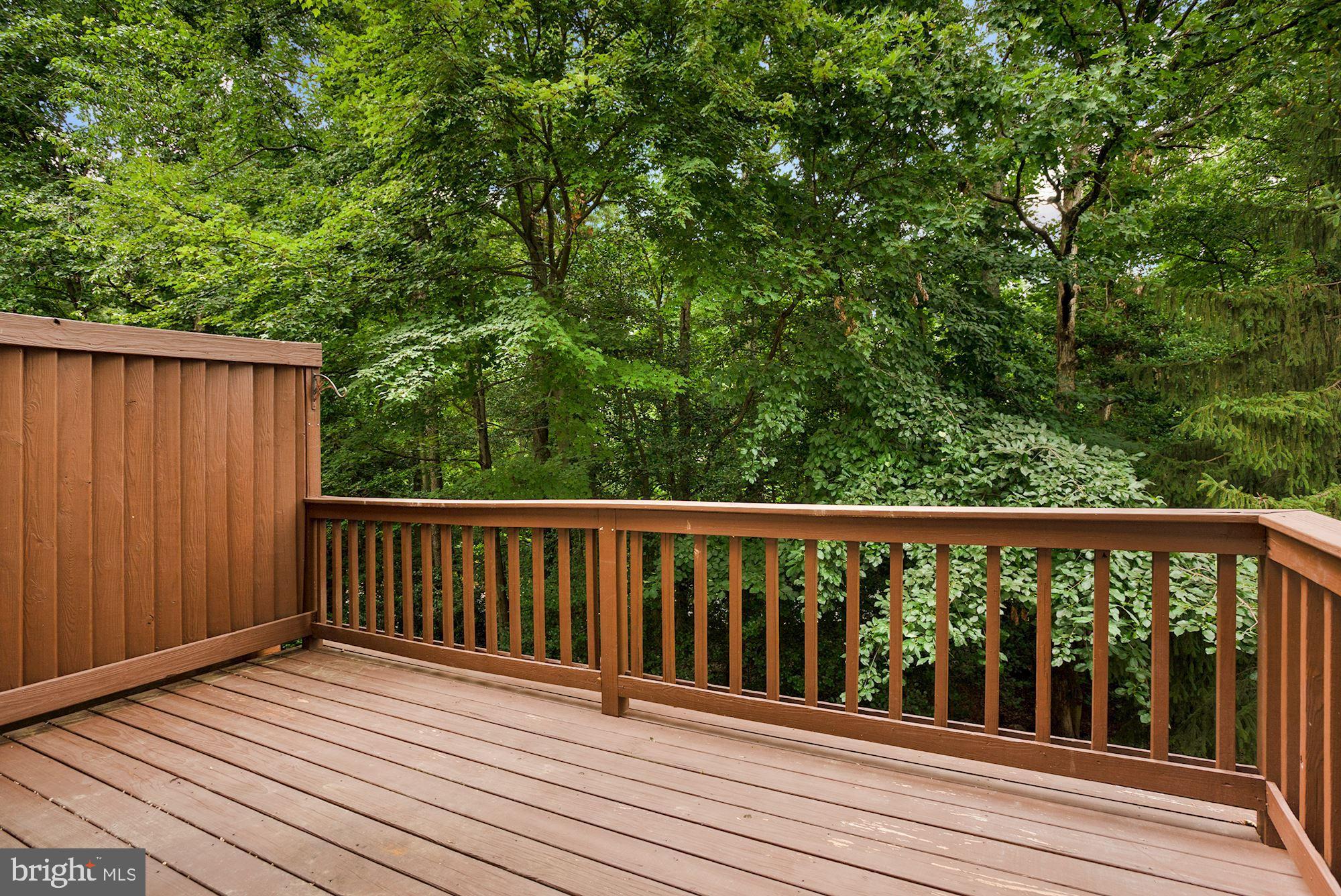 1573 Brass Lantern Way Reston, VA 20194 - Photo 42 of 46 Main Level Deck