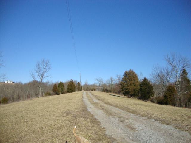 347 Ballinger Road Falmouth, KY 41040 - Photo 3 of 22 Gallery Image 3