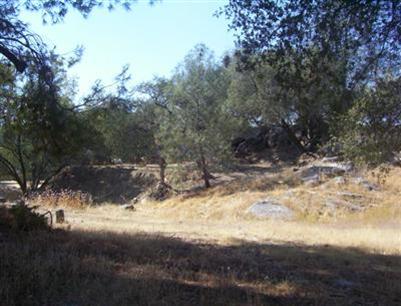 31042 Revis Road Coarsegold, CA 93614 - Photo 2 of 20 Gallery Image 2