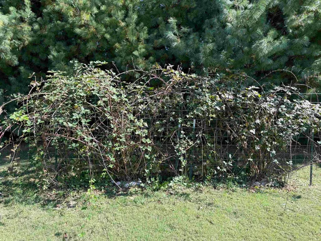 $335,000 | 1540 Troy Road, Washington, IN 47501