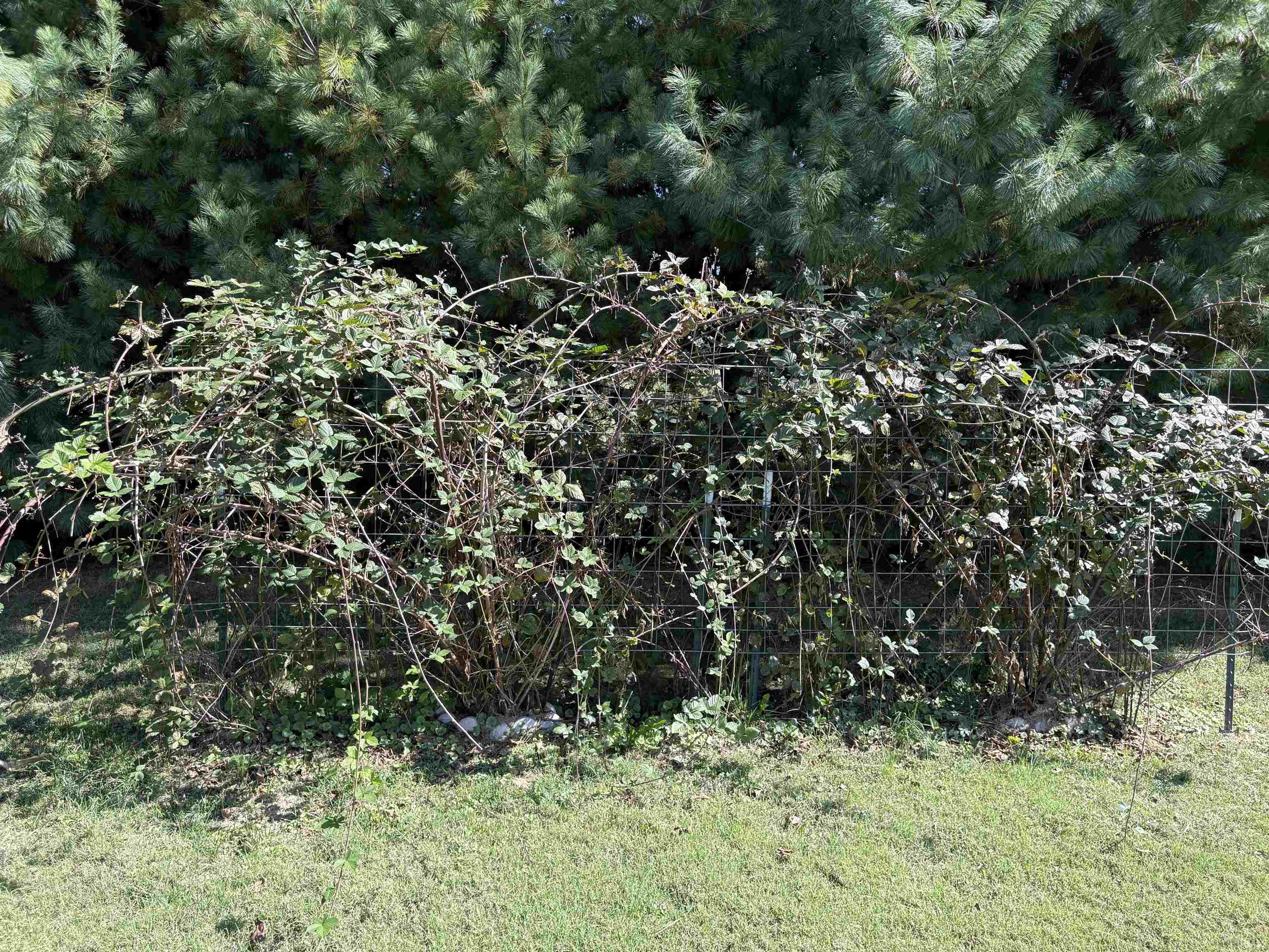 1540 Troy Road Washington, IN 47501 - Photo 4 of 17