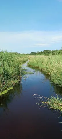 $395,000 | 8421 156th Lane Northwest, Ramsey, MN 55303