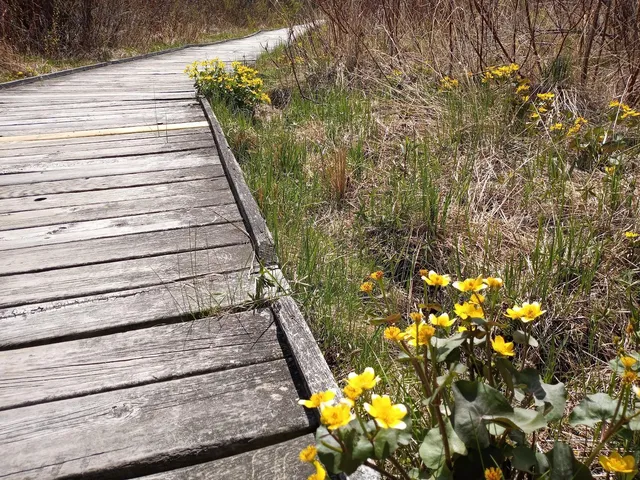 $395,000 | 8421 156th Lane Northwest, Ramsey, MN 55303