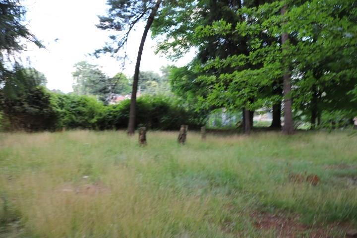 144 Goodview Drive Apollo, PA 15613 - Photo 4 of 4 Gallery Image 4