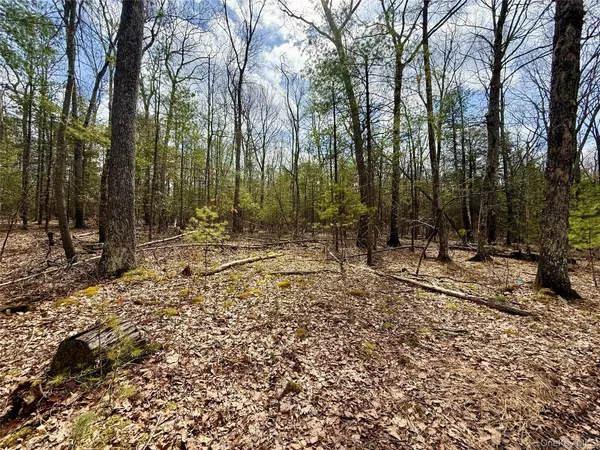 $69,000 | Marko Drive, Highland, NY 12528