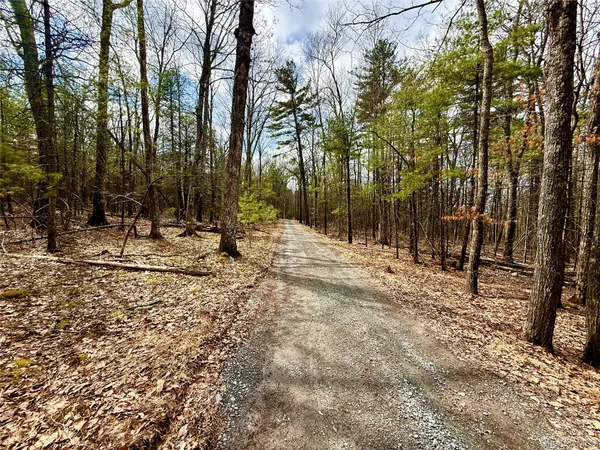 a view of outdoor space with trees