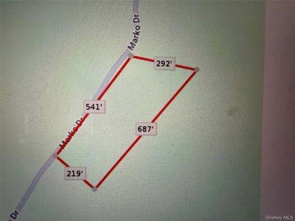 a view of a forest filled with trees