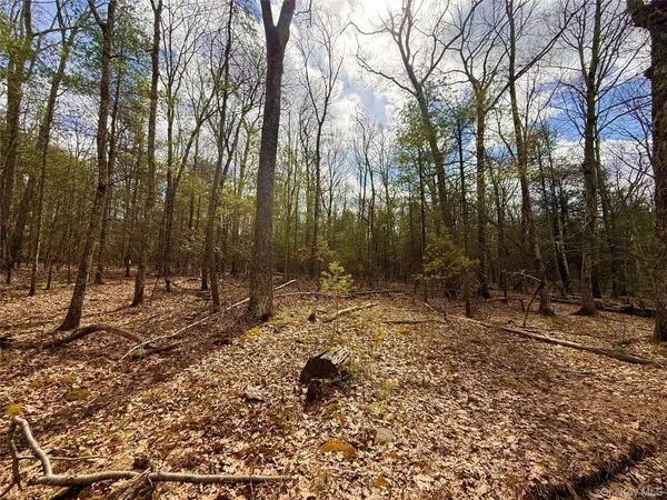 a street sign under an umbrella