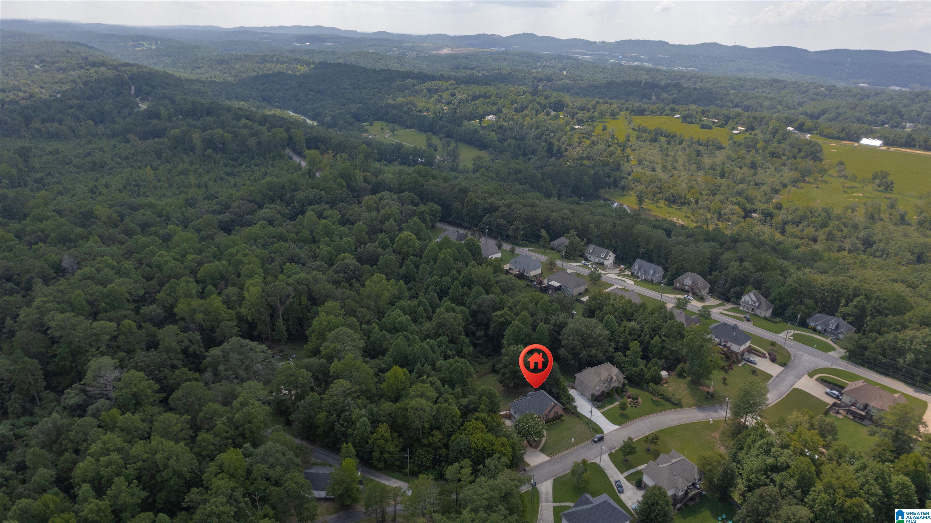 3484 Cooks Moore Road Trussville, AL 35173 - Photo 50 of 54
