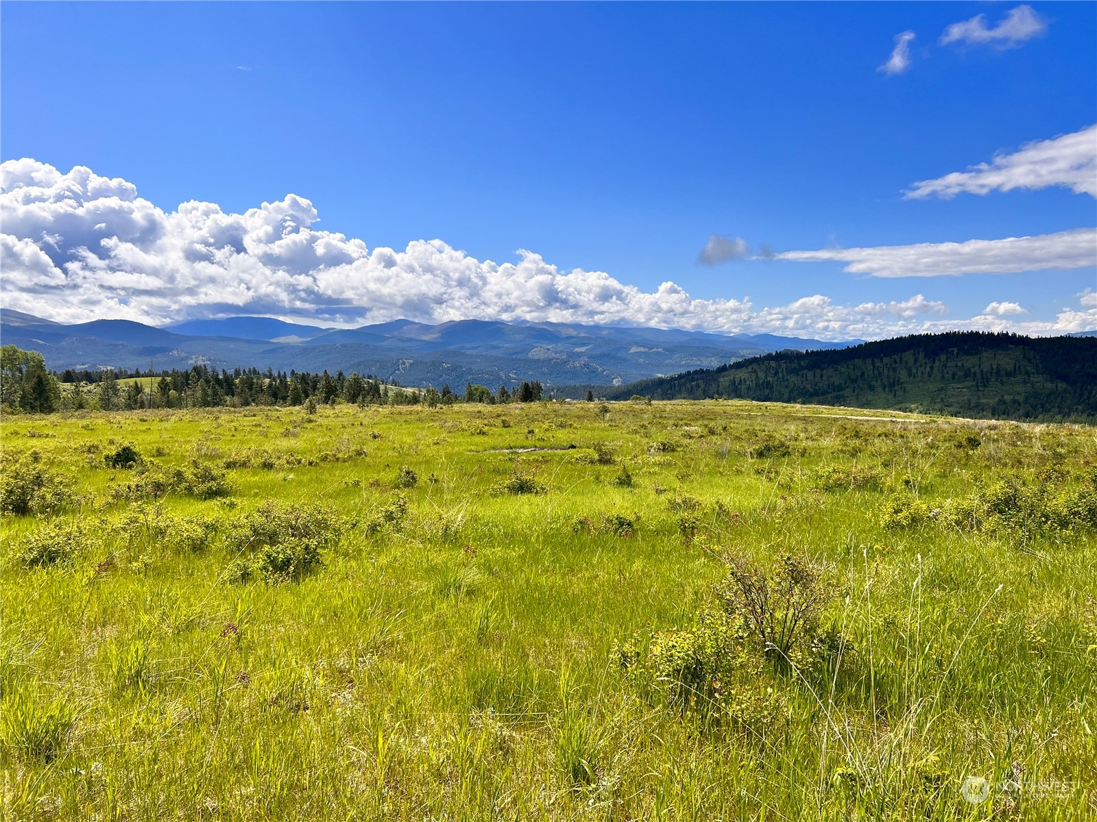 36 Moonlight Drive Curlew, WA 99118 - Photo 1 of 16 a view of a lake and mountain