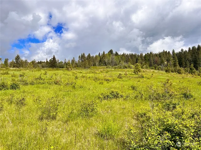 a view of an swimming pool with a yard