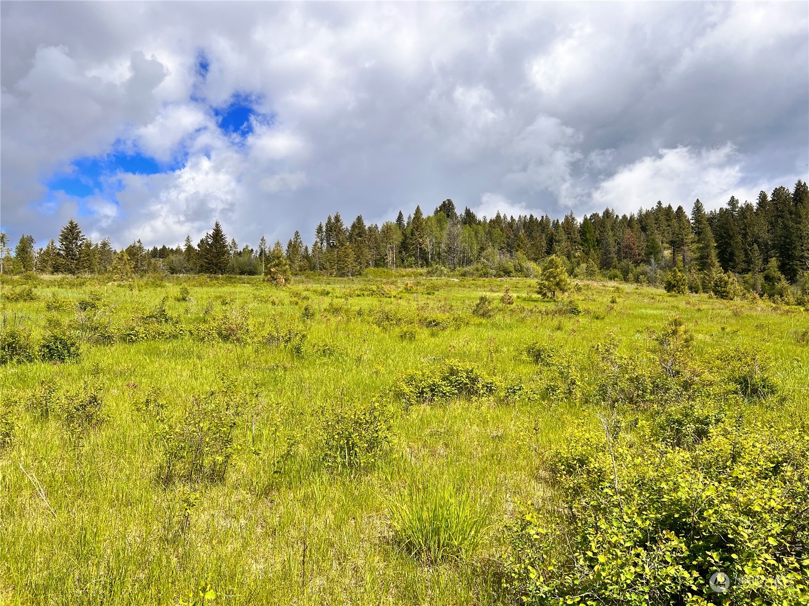 36 Moonlight Drive Curlew, WA 99118 - Photo 11 of 16