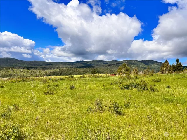 a yard with yellow house in front of it