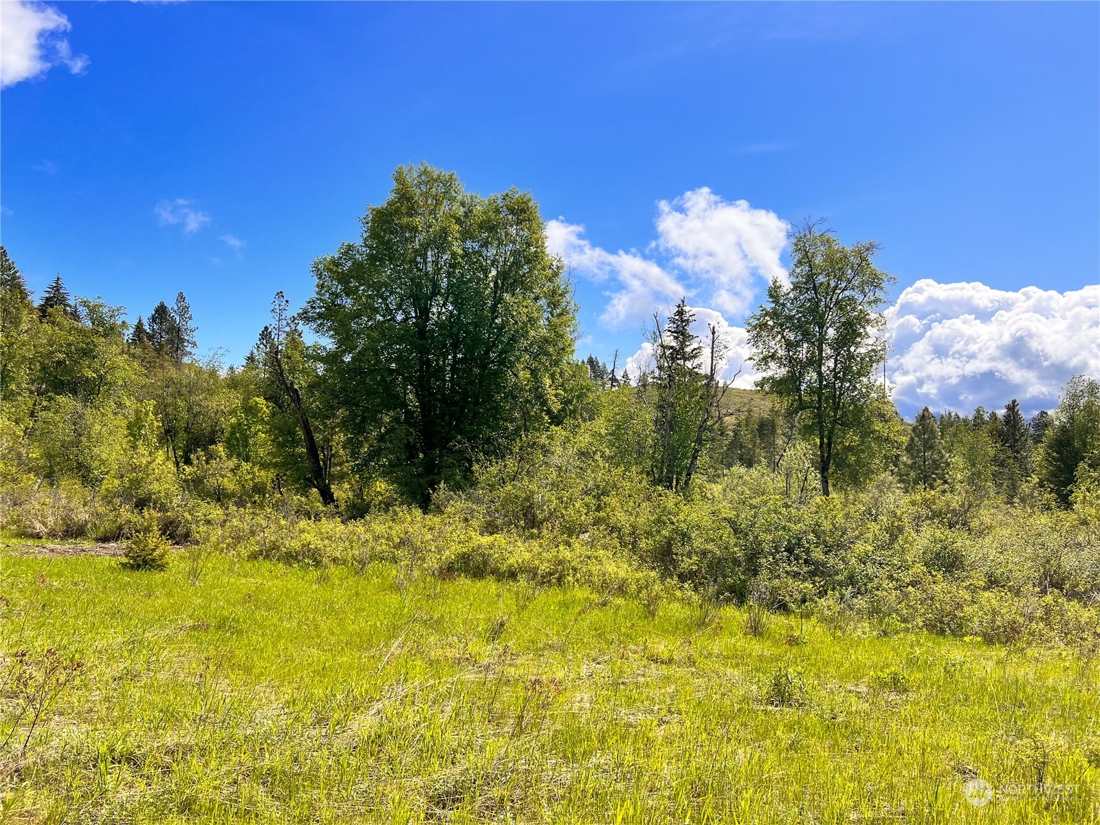 36 Moonlight Drive Curlew, WA 99118 - Photo 13 of 16 a yard with yellow house in front of it