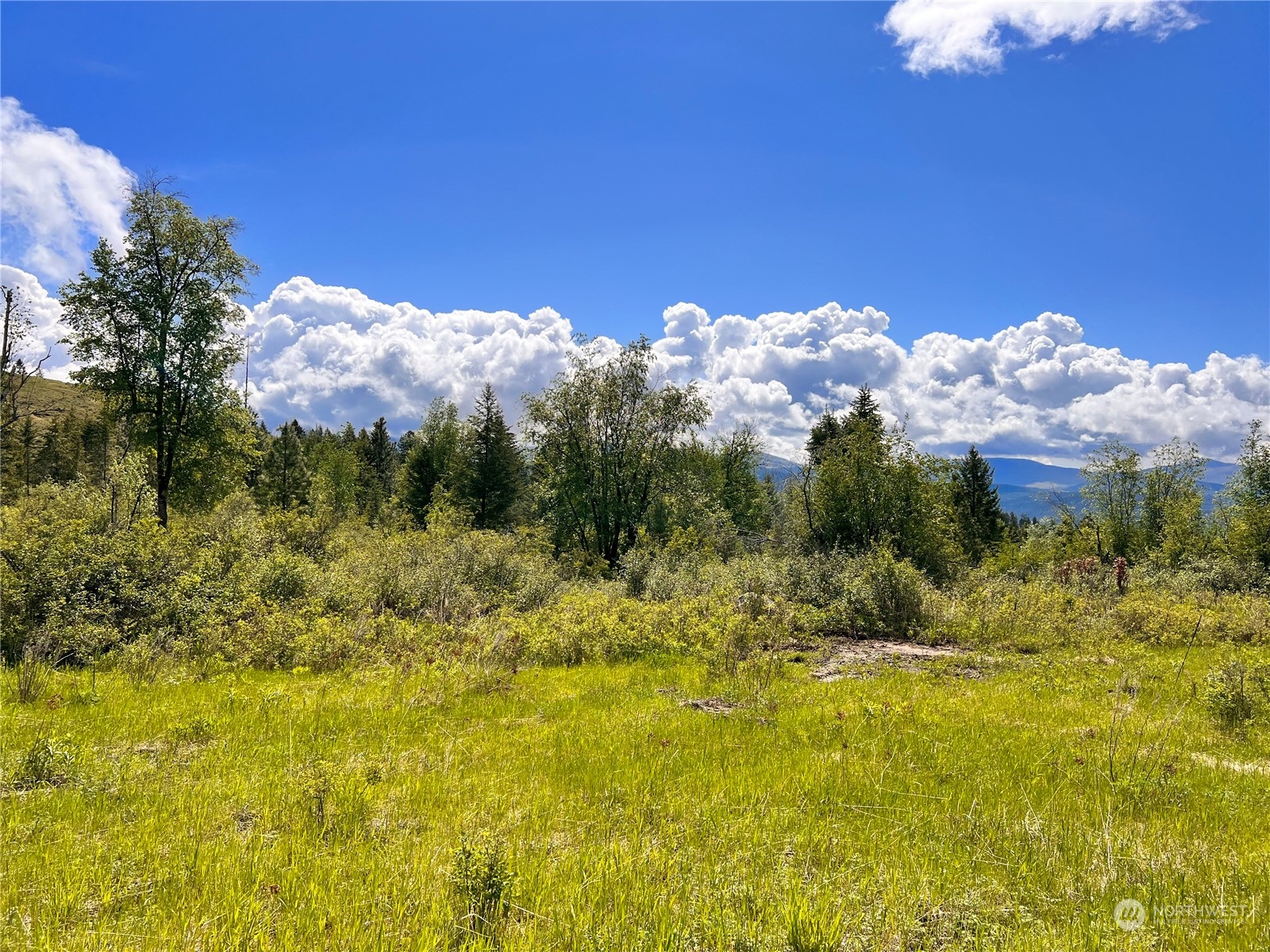 36 Moonlight Drive Curlew, WA 99118 - Photo 14 of 16 a view of mountain