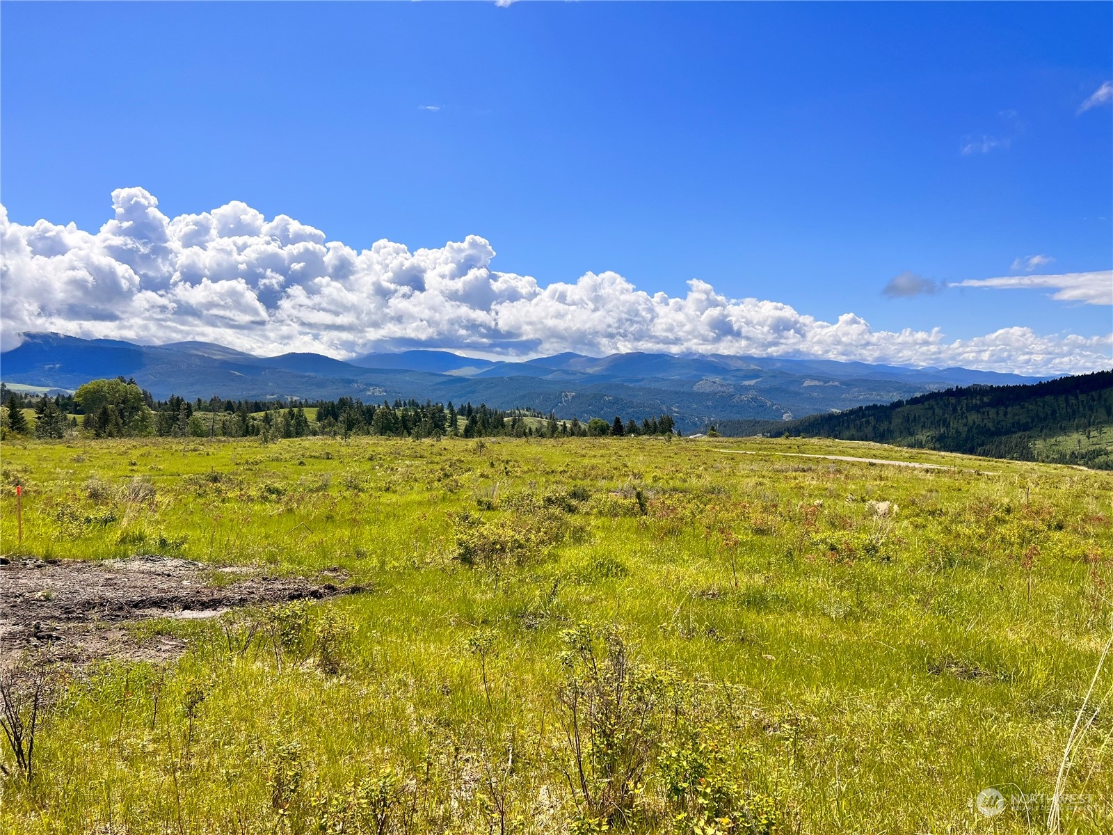 36 Moonlight Drive Curlew, WA 99118 - Photo 5 of 16 a view of a sky from a lake