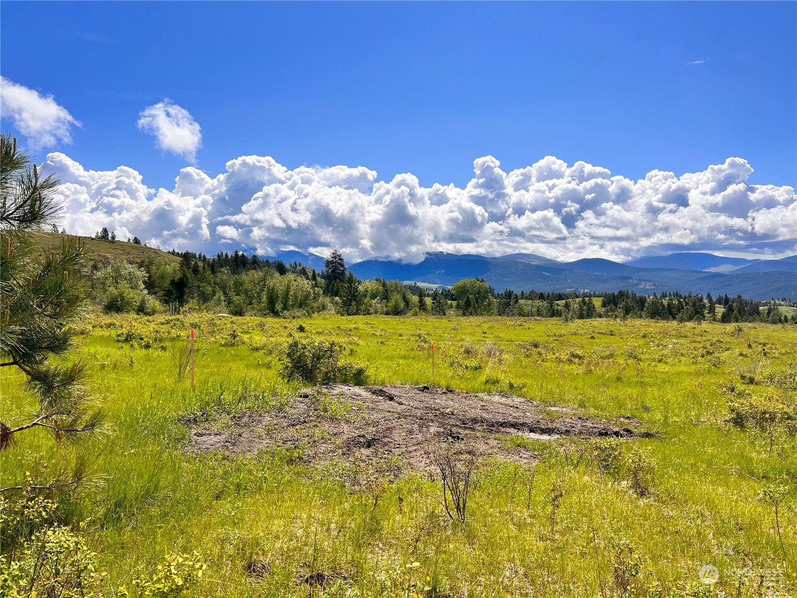 36 Moonlight Drive Curlew, WA 99118 - Photo 6 of 16 a view of an outdoor space and lakeside