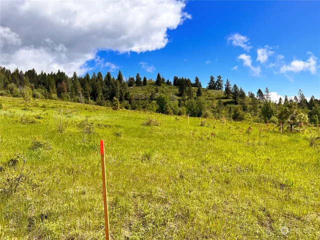 a view of a yard with an ocean