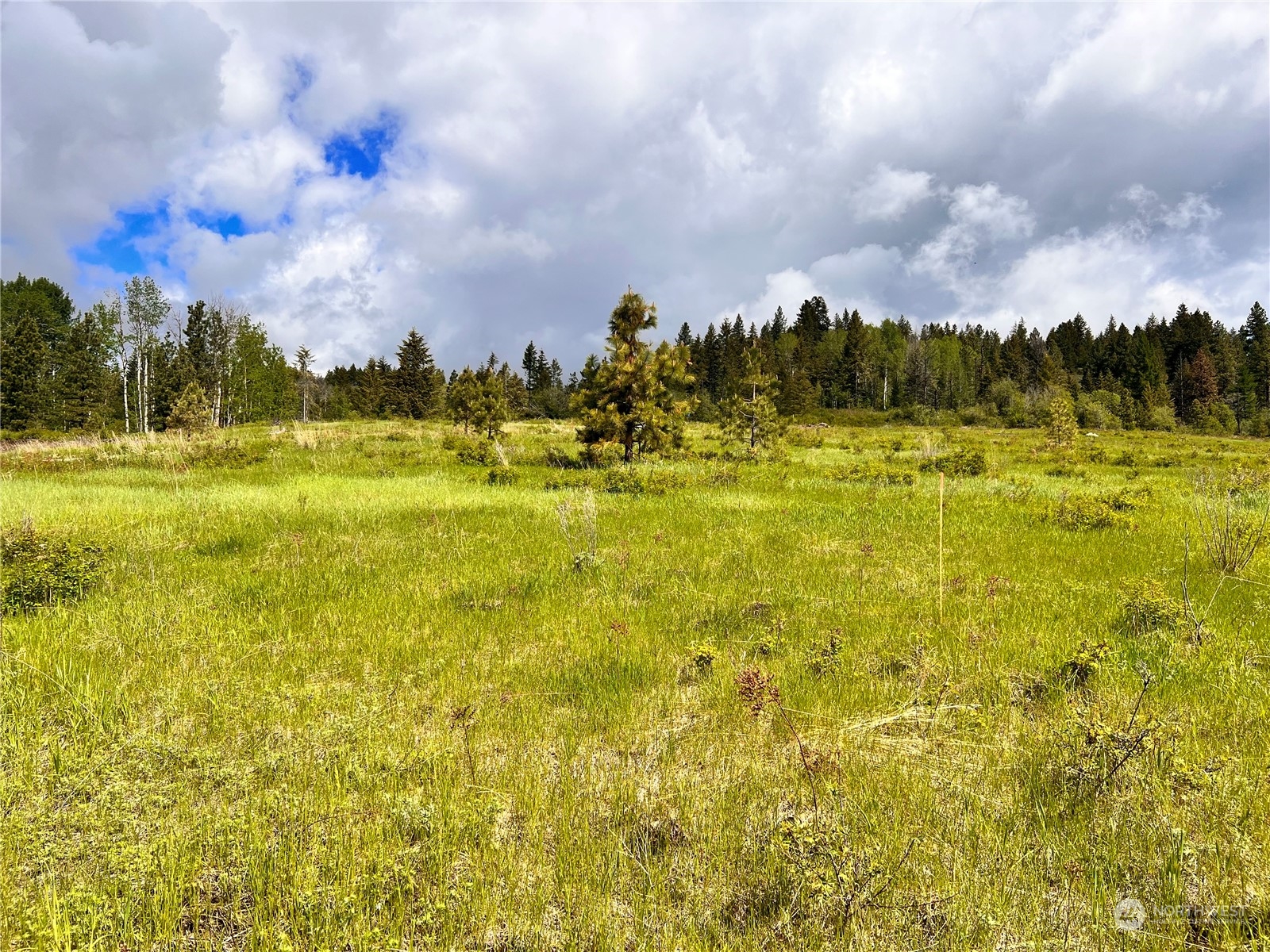 36 Moonlight Drive Curlew, WA 99118 - Photo 9 of 16 a view of a lake view