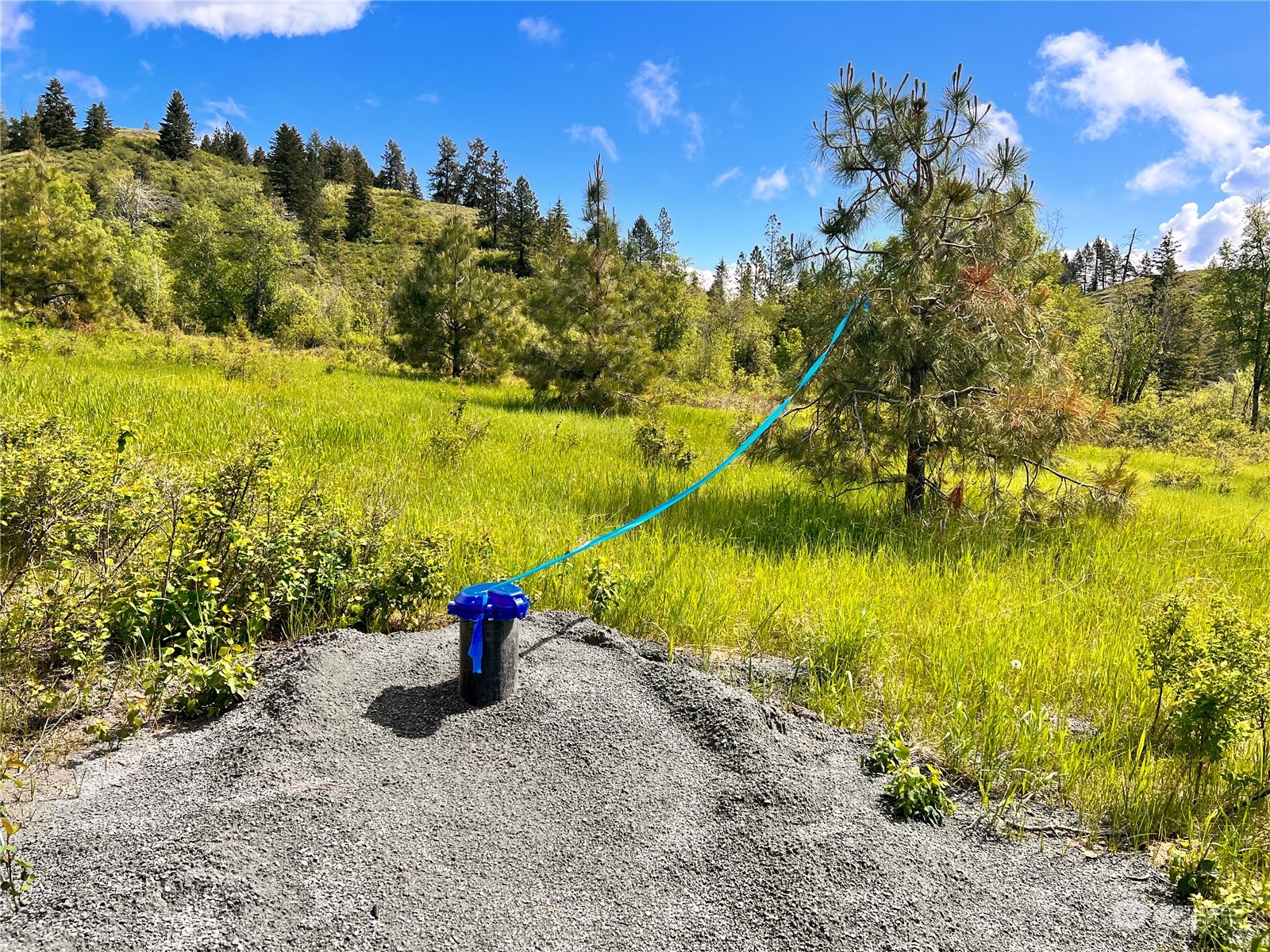 36 Moonlight Drive Curlew, WA 99118 - Photo 10 of 16 a view of a lake with a mountain