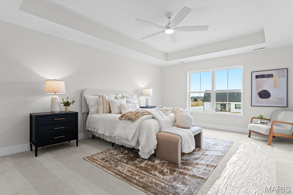 809 Golden Bell Lane O'Fallon, IL 62269 - Photo 22 of 54