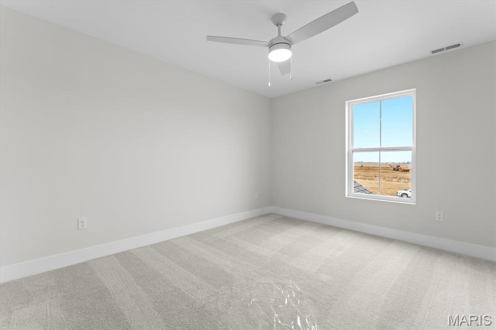 809 Golden Bell Lane O'Fallon, IL 62269 - Photo 30 of 54