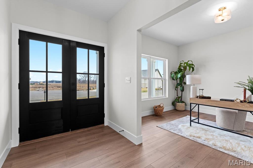 809 Golden Bell Lane O'Fallon, IL 62269 - Photo 4 of 54