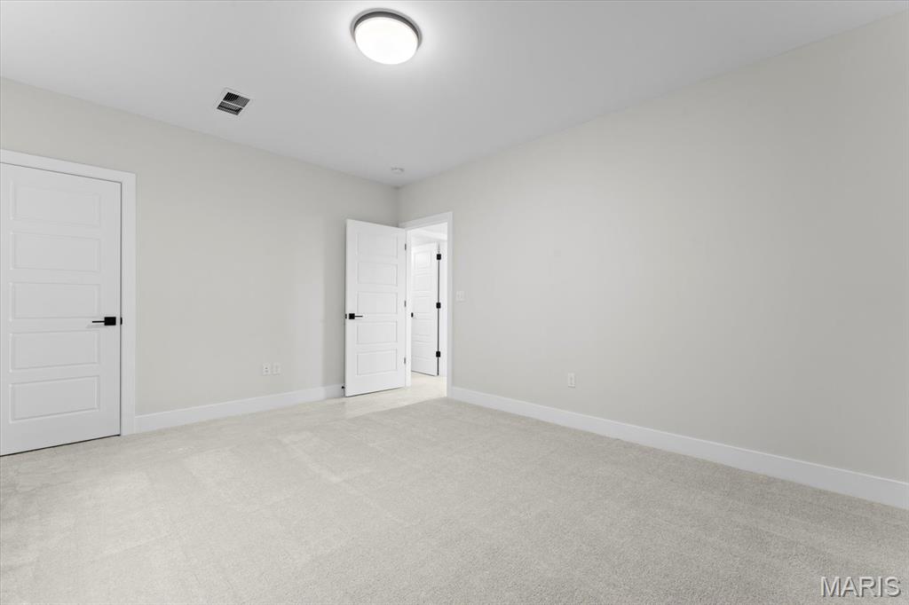 809 Golden Bell Lane O'Fallon, IL 62269 - Photo 42 of 54