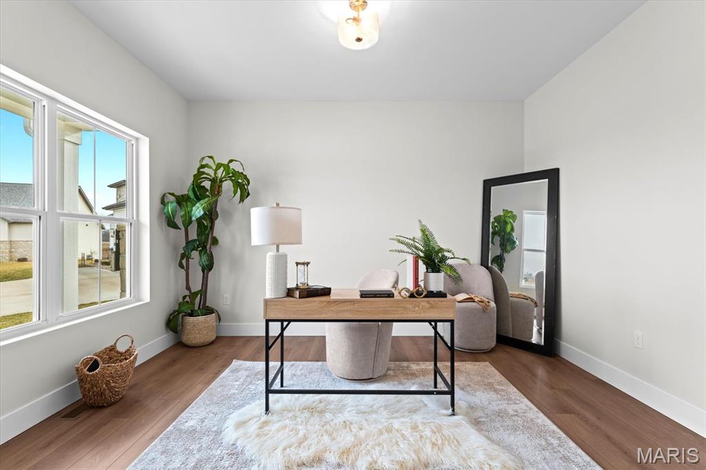 809 Golden Bell Lane O'Fallon, IL 62269 - Photo 5 of 54