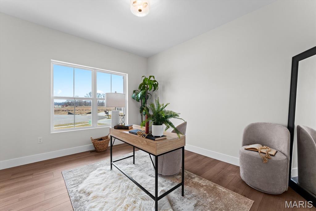 809 Golden Bell Lane O'Fallon, IL 62269 - Photo 6 of 54