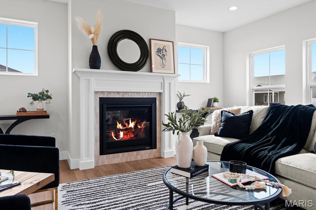 809 Golden Bell Lane O'Fallon, IL 62269 - Photo 8 of 54