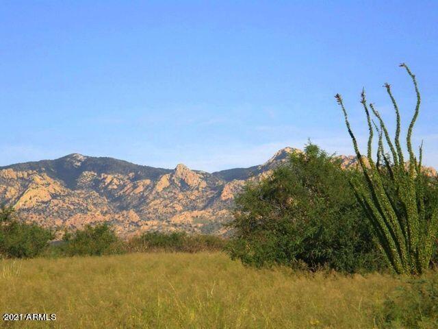 Tbd East Horse Ranch Road, Unit 54 St. David, AZ 85630 - Photo 2 of 16 20200605143500214949000000-o